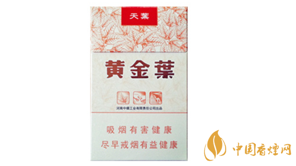 黃金葉天葉真?zhèn)卧趺幢鎰e？天葉真假如何看？