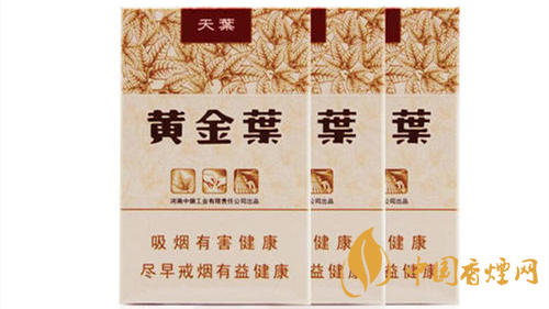 2020黃金葉天葉怎么樣?黃金葉大小天葉有什么不同