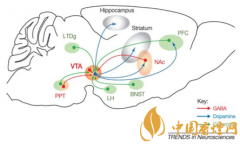 煙癮是什么 煙癮犯了怎么辦！