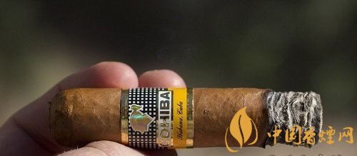 不同產地雪茄有什么不同的風味 根據(jù)雪茄產地識別風味