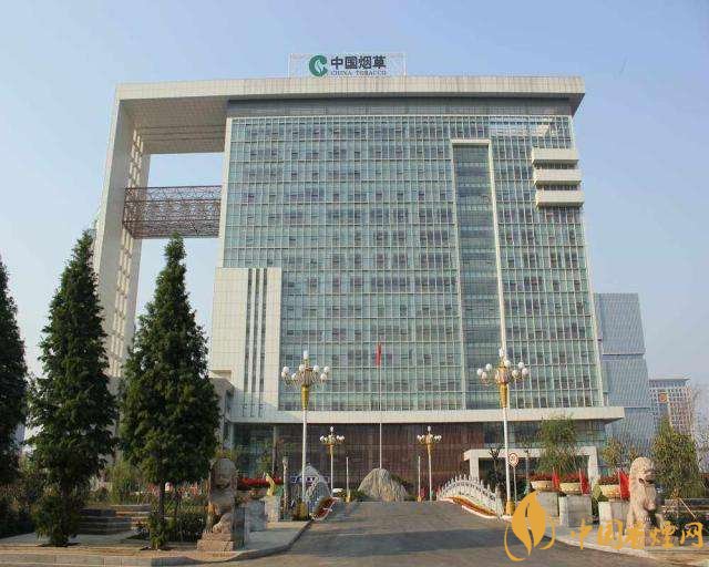 3.5億煙民1年為國(guó)家貢獻(xiàn)1.2億！專(zhuān)家：卷煙太便宜，要漲價(jià)